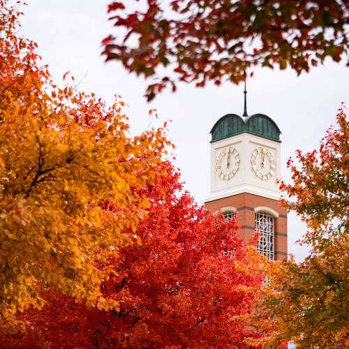 Fall scenery with the Allendale campus clocktower framed around it.